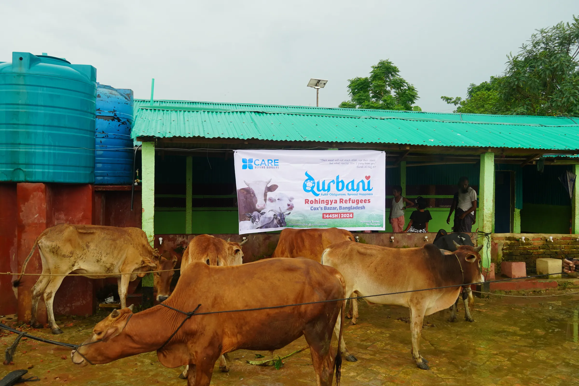Fresh Qurbani meat shared with families in need